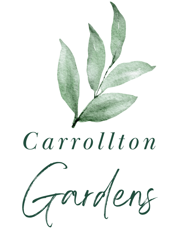 Carrollton Gardens | Color Logo